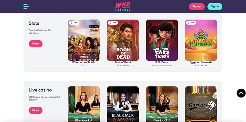 wild fortune casino screenshot games section