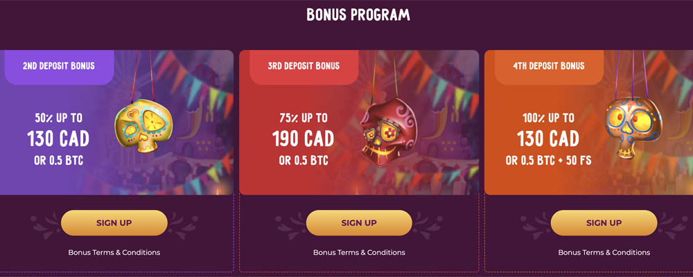 screenshot slotvibe bonus